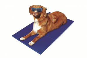 Pet-Star K�hlmatte - 65 x 50 cm