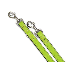 Karlie VINTAGE F�hrleine - Kiwi - 22 mm, 200 cm