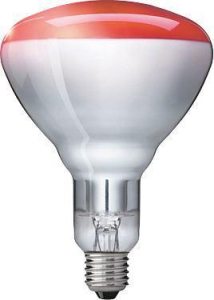 PHILIPS Infrarotlampe f�r Tieraufzucht 150 Watt