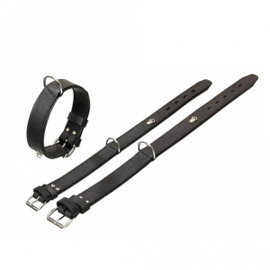 Karlie Rondo Halsband mit Ring f�r Adresstube - Schwarz - 55cm/35mm