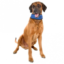 Karlie Flamingo K�hlbandana Fresk - L (45 - 65 cm)