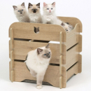 Vesper Katzenh�hle Cottage - Eiche