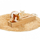 Karlie Rody Brain Train Kasten mit 6 Kl�tzen